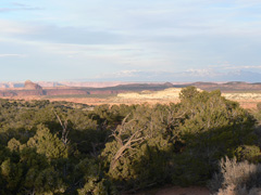 Pinyon-juniper woodland