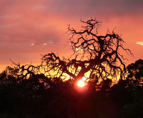 Sunset at Hans Flat
