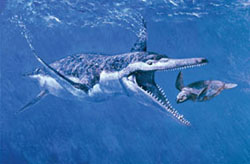 artist rendition of a plesiosaur