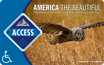 America the Beautiful The National Parks and Federal Recreation Lands Pass - Access - disability wheelchair logo, photo of owl in flight