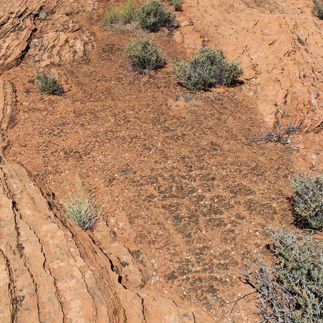 rough, dry, dark and cracked soil lays flat among smooth red rock layers