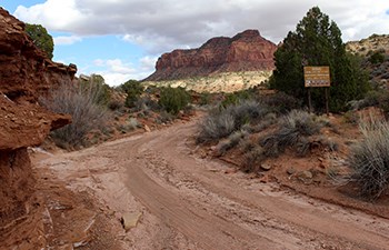 Dirt road amongst sandstone cliffs