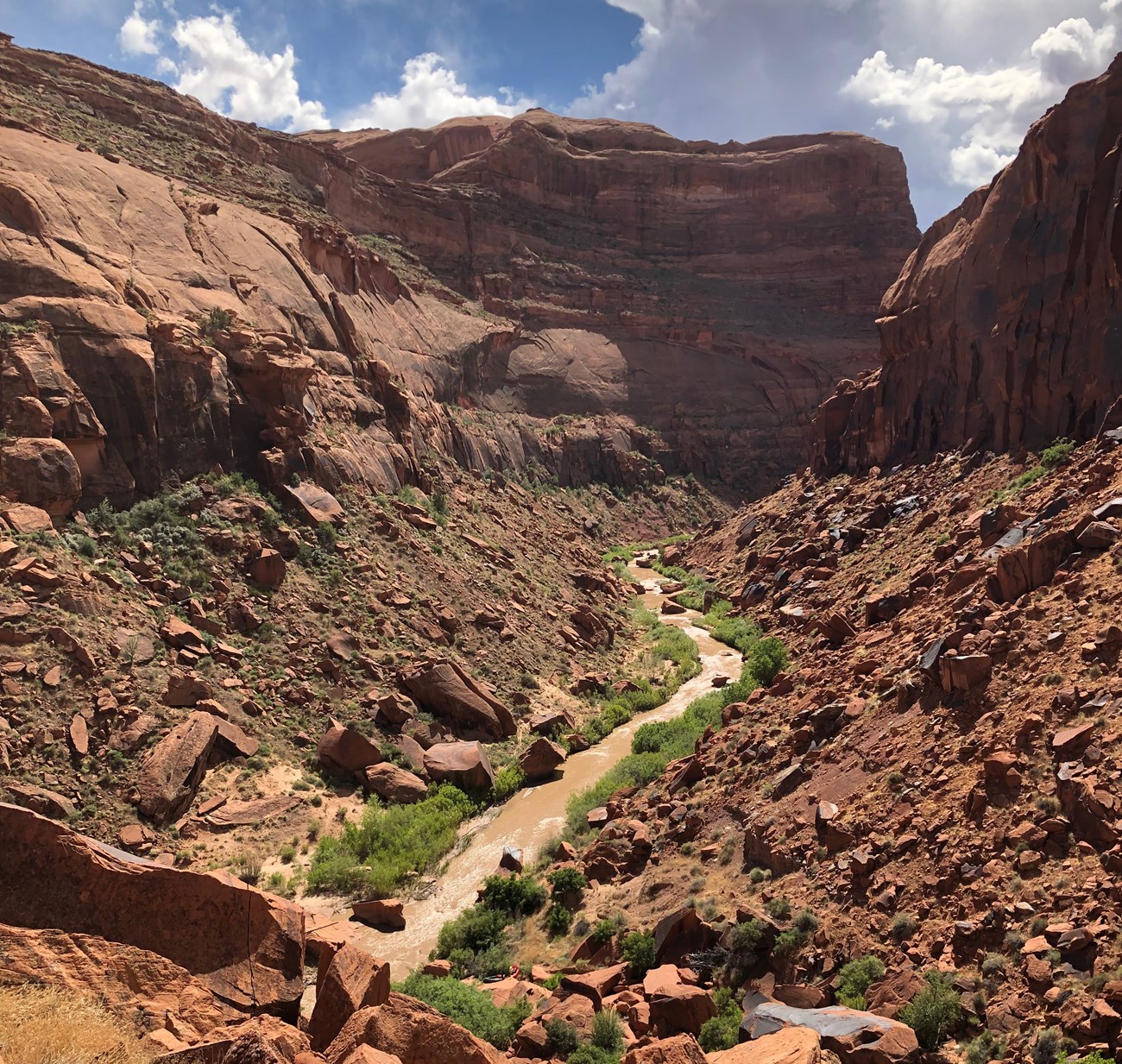 Muddy river at the bottom of a wide sandstone canyon