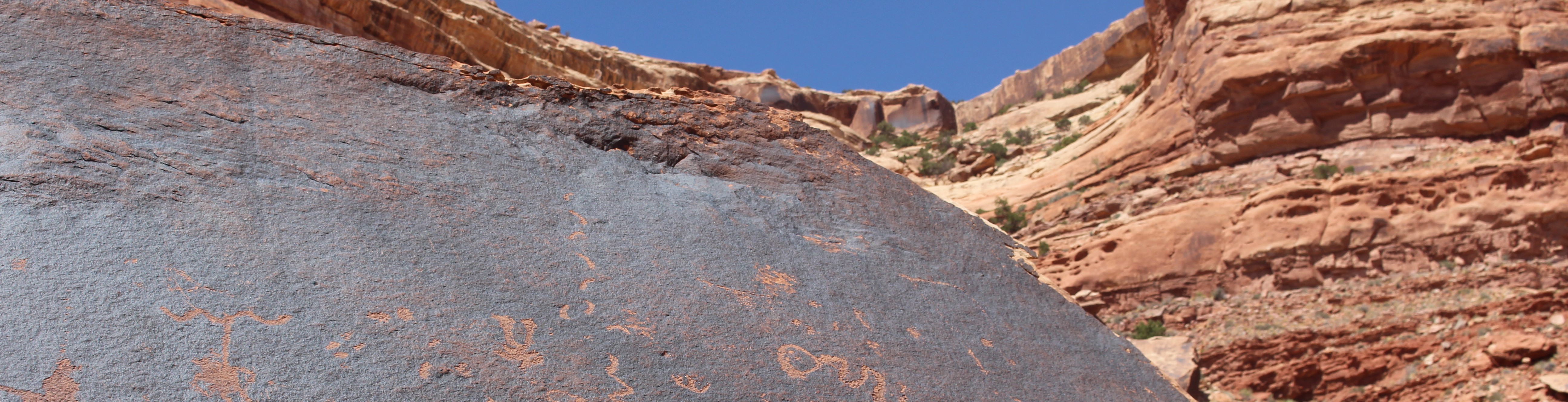 Sandstone cliffs. A dark parina covers the closest rock, and figures carved by humans cover the rock.