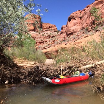 Kayak wedged under mass of river debris