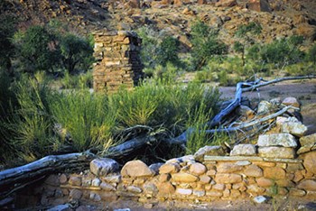 Rubble from a stone cabin. A fallen tree lays across the structure and plants grow inside. Half of a stone chimney stands.