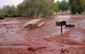 Picnic table and grill buried by muddy flood