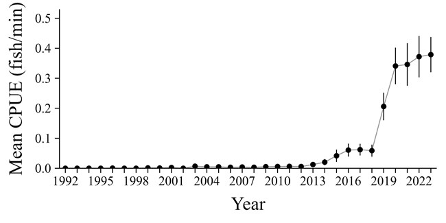 Chart indicating rapid rise of brown trout population in Colorado River 1991-2023.