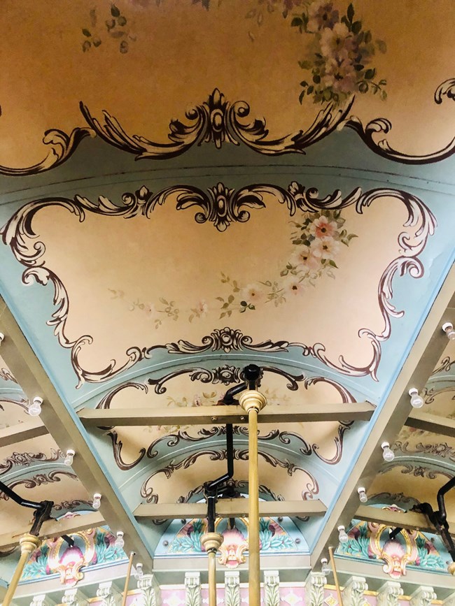 Carousel Canopy