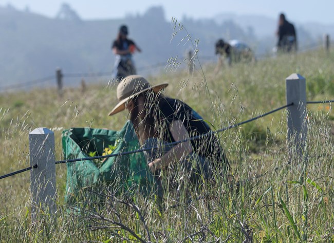 People work on trail in the tall grass.