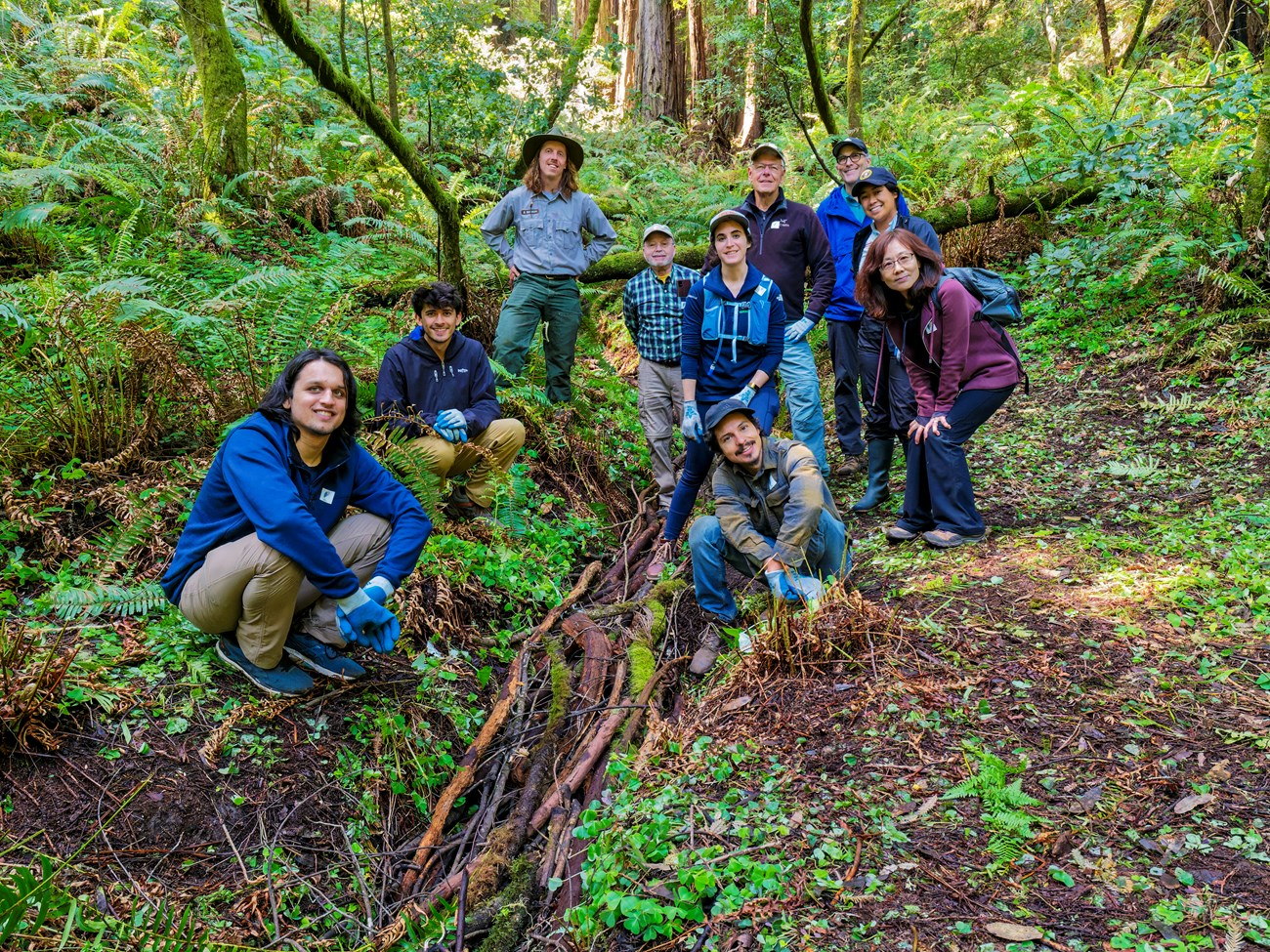 Volunteers from Muir Woods Earth Day Gully stuffing at Cathedral Grove