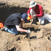 volunteers working at archeological site
