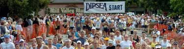Dipsea-Banner-2