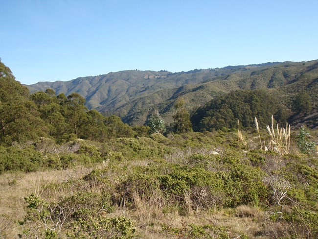 Montara Mountain