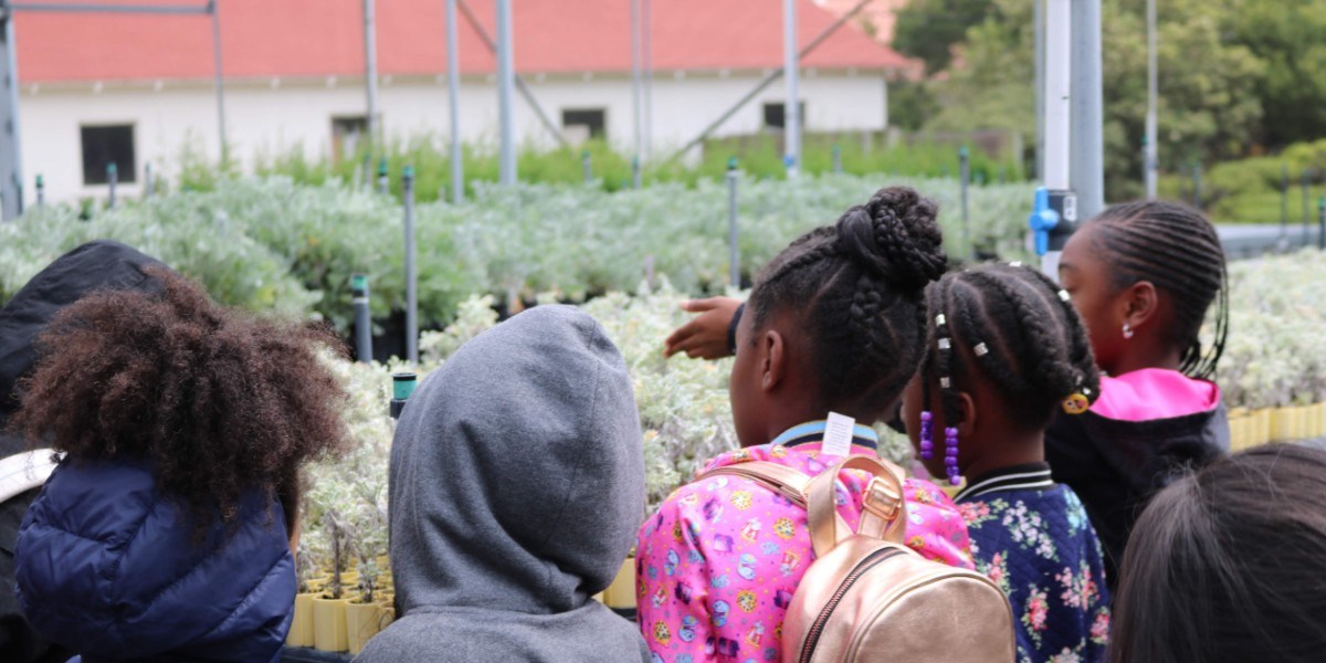 students looking at plants