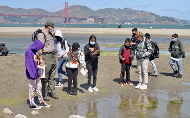 Students investigate the bay shore