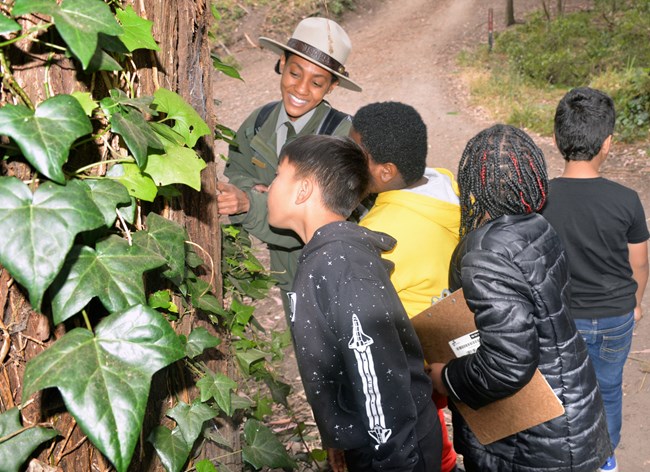 Students and a park ranger investigate a tree