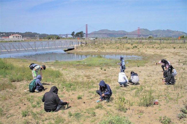 Students plant seedlings at the Quartermaster Reach restored wetland.
