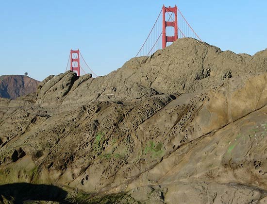 Graywacke exposure at Baker Beach