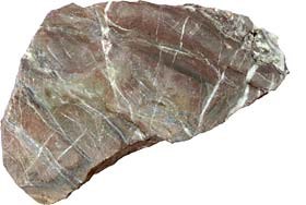 Limestone hand specimen Limestone hand specimen