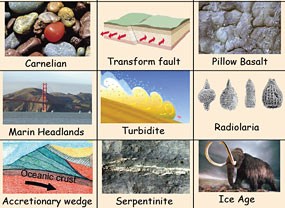 Geo-lingo bingo card