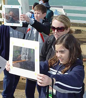 Students using Magic Windows