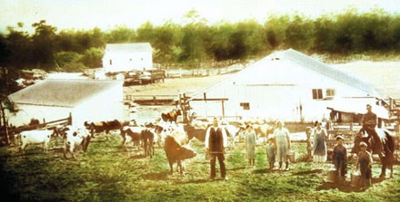 440-dairy-family