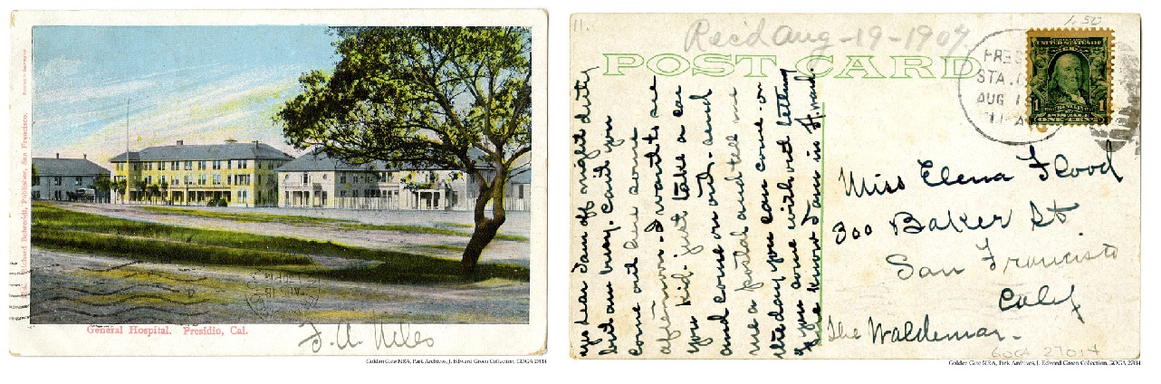 GOGA 27014 Green Collection LGH