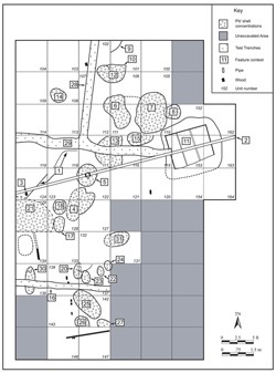illustration of archaeology grid