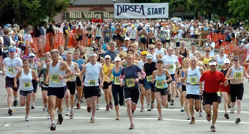 runners start at Dipsea race