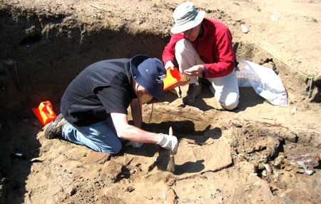 volunteers at archeology site working with brushes