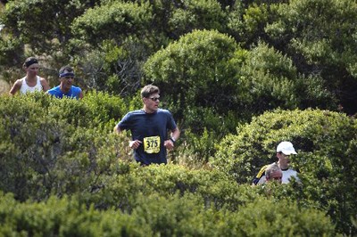 Dipsea Trail runners