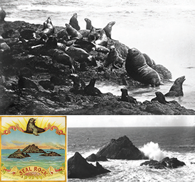 Top: Cluster of sea lions Bottom left: Color illustration of seals and rocks in the ocean.  Bottom right: Waves crashing against rocks in the ocean. Top: Cluster of sea lions Bottom left: Color illustration of seals and rocks in the ocean. Bottom right: Waves crashing against rocks in the ocean.
