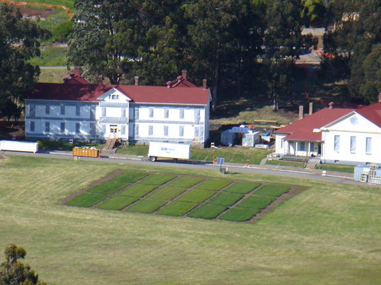aerial photo of grass test strips at Fort Baker