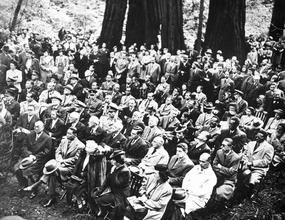 historic photo of men & women sitting formally in a redwood grove historic photo of men & women sitting formally in a redwood grove