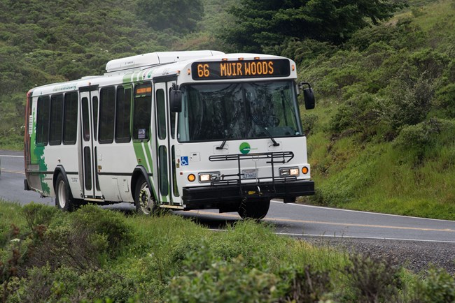 A bus on a road, with the words "Muir Woods" displayed over the window
