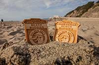junior ranger badges in sand junior ranger badges in sand