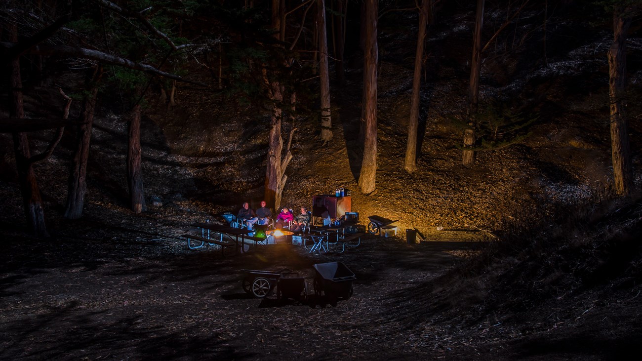 People gather round camp fire in dark forest