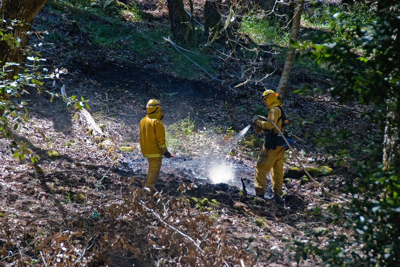 Prescribed_Burn_Larel_Dell