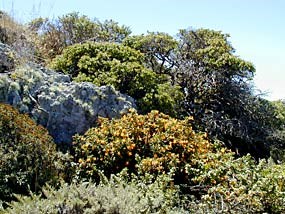 Nature and Science Nature and Science