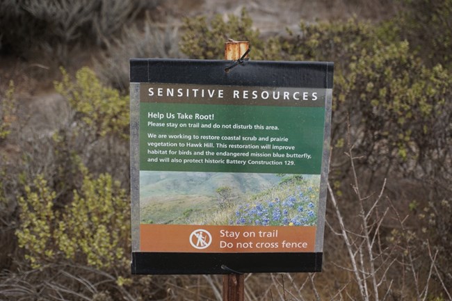 The close up of a sign that asks visitors to stay on trail so that new plants for Mission Blue Butterflies will not be trammeled.