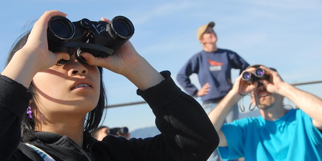 Three GGRO volunteers use binoculars to look at the sky.