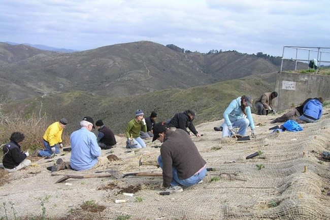 Volunteers work over a tarp to replant Hawk Hill with native species.