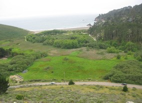 Green Gulch pasture from above Hwy 1 Green Gulch pasture from above Hwy 1