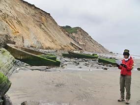 A person stands at the beach and assesses erosion in the cliffside.