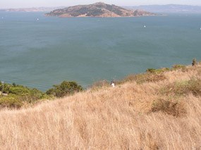 Brown hillsides of the summer drought