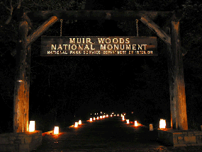 Winter Solstice celebration of dark night skies at Muir Woods