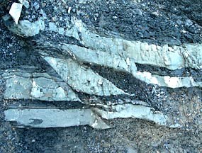 Photo of shale and sandstone beds with small fault Photo of shale and sandstone beds with small fault