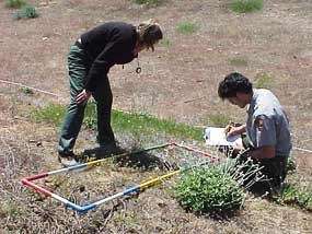 Monitoring vegetation changes Monitoring vegetation changes