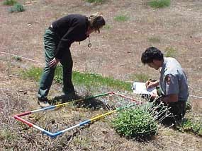 Monitoring vegetation changes